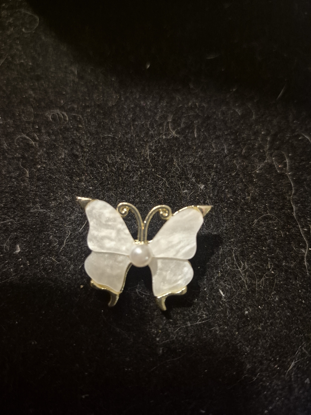 Gold Butterfly Brooch with White Mother-of-Pearl Wings
